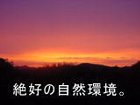 ��D�̎��R��